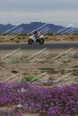 media/Jan-14-2023-SoCal Trackdays (Sat) [[497694156f]]/Turn 14 Exit Bloomig (145pm)/
